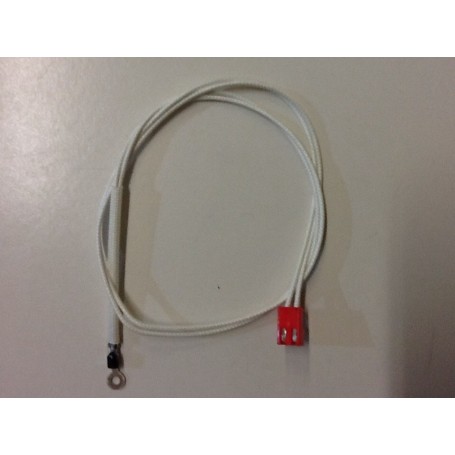 Sonda su portabruciatore fondsondas00